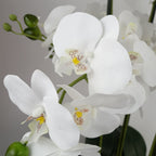 Artificial White/Gold Ceramic Orchid — 60cm — detail 1