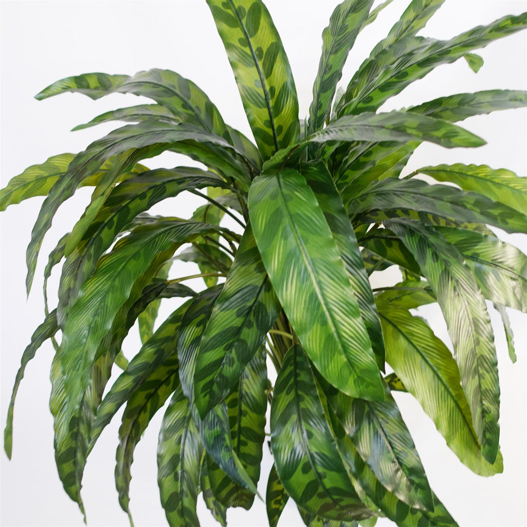 Artificial Variegated Calathea — 90cm — detail 1