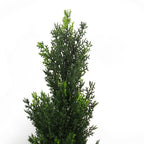 Artificial Cedar Cypress — 90cm — detail 2