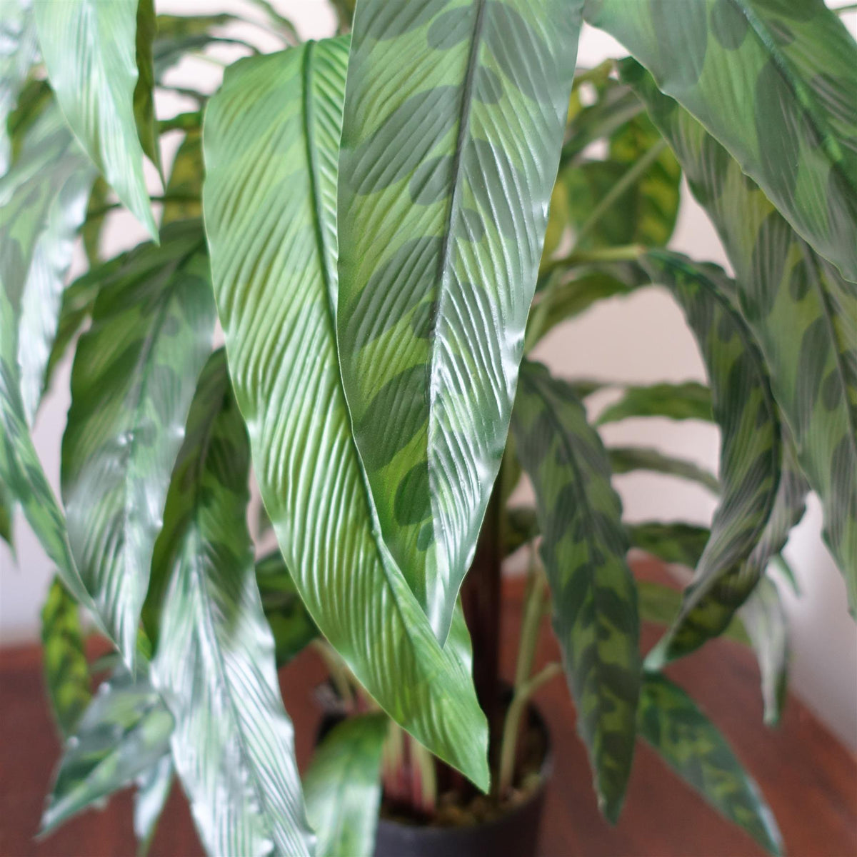 Artificial Variegated Calathea — 90cm — detail 2