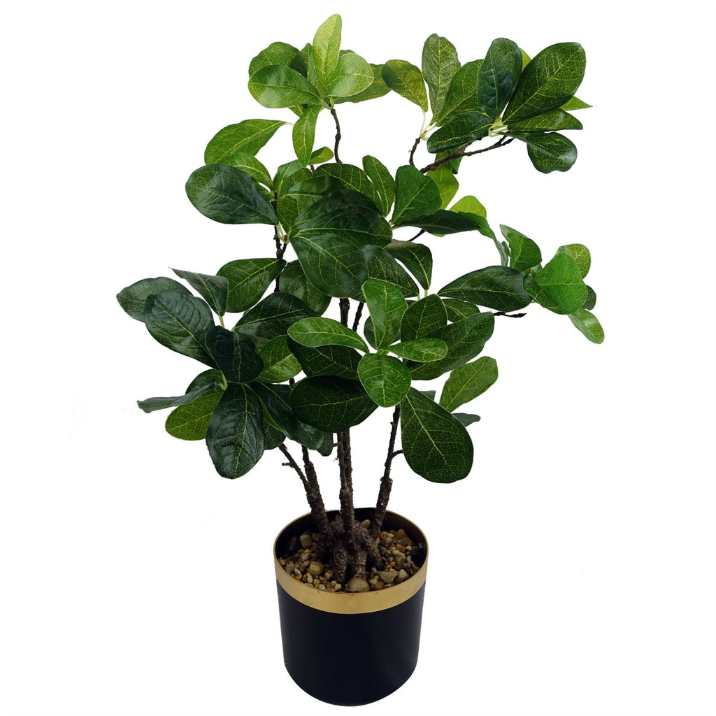 Artificial Tropical Bonsai Ficus — 60cm
