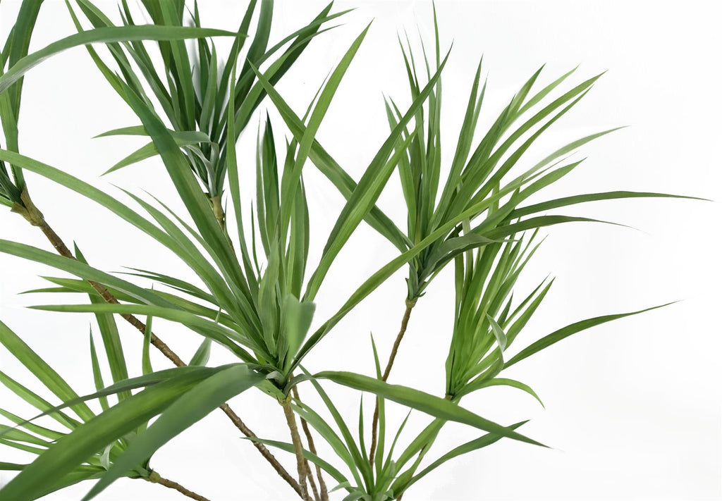 Artificial Dragon Tree — 125cm — detail 1