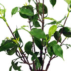 Artificial Banyan Bonsai — 60cm — detail 1