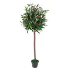 Artificial Olive Bay Topiary — 120cm