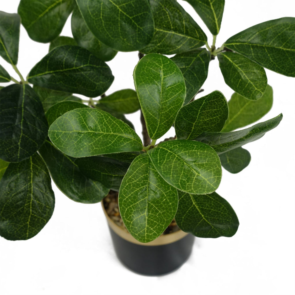 Artificial Tropical Bonsai Ficus — 60cm — detail 1