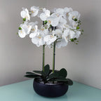 Artificial White/Black Ceramic Orchid — 60cm