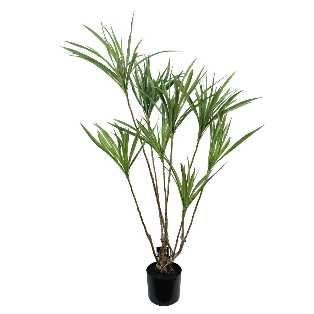 Artificial Dragon Tree — 125cm