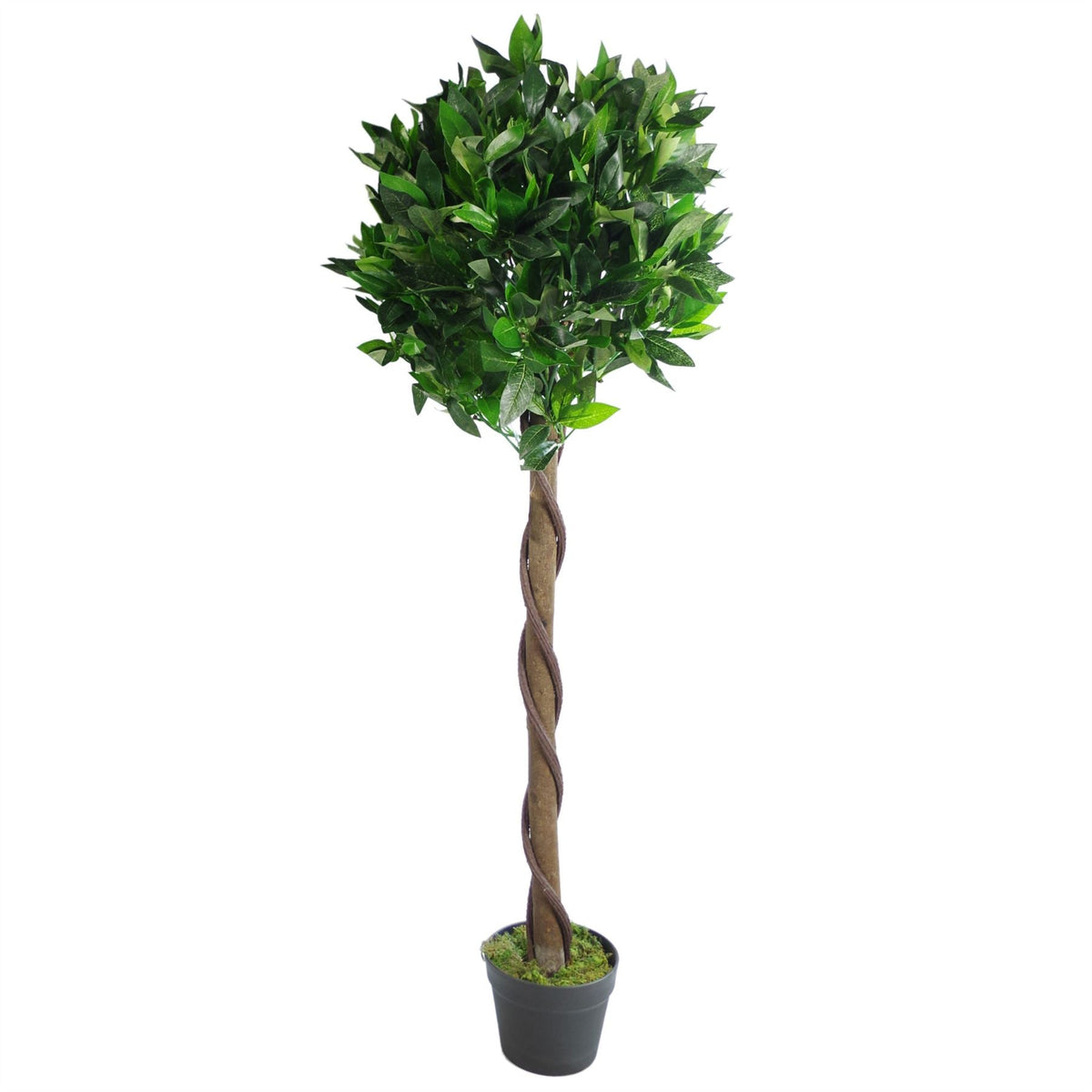 Artificial Twist Bay Laurel — 120cm