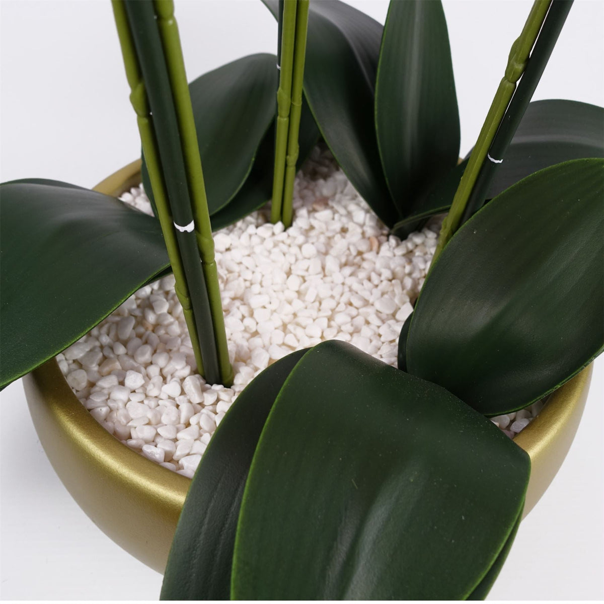 Artificial White/Gold Ceramic Orchid — 60cm — detail 3