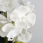 Artificial White Bubble-Pot Orchid — 60cm — detail 1
