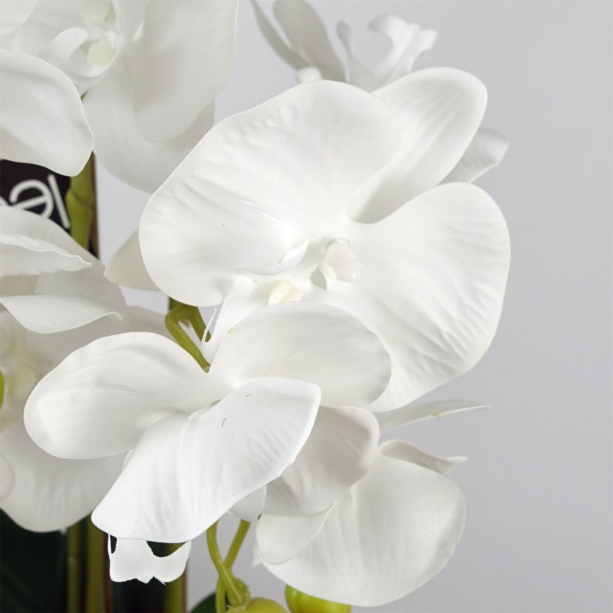Artificial White Bubble-Pot Orchid — 60cm — detail 1