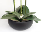 Artificial White/Black Ceramic Orchid — 60cm — detail 3
