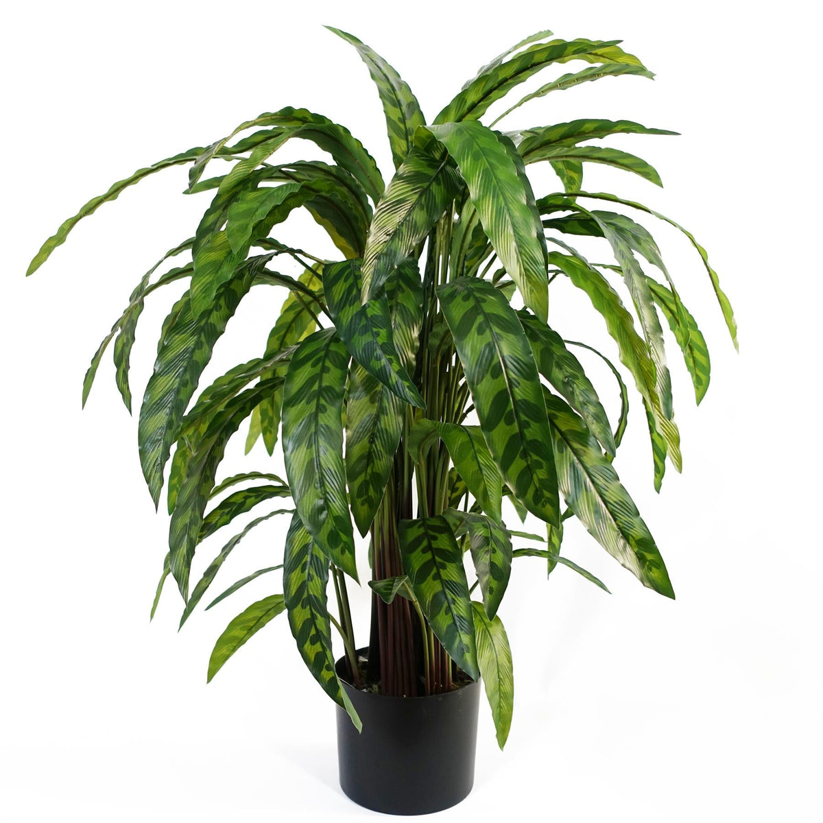 Artificial Variegated Calathea — 90cm
