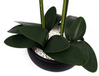 Artificial White/Black Ceramic Orchid — 60cm — detail 2