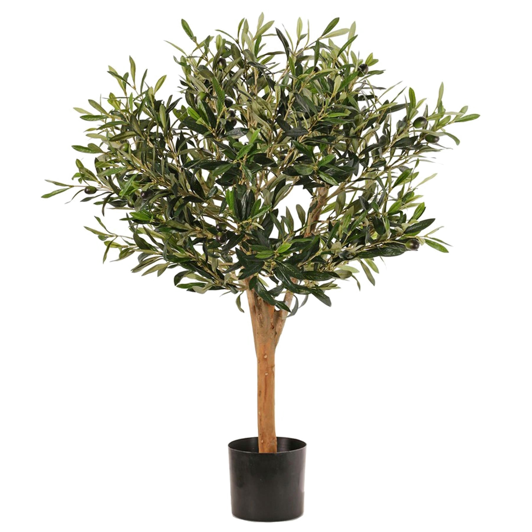 The Grove Olive
