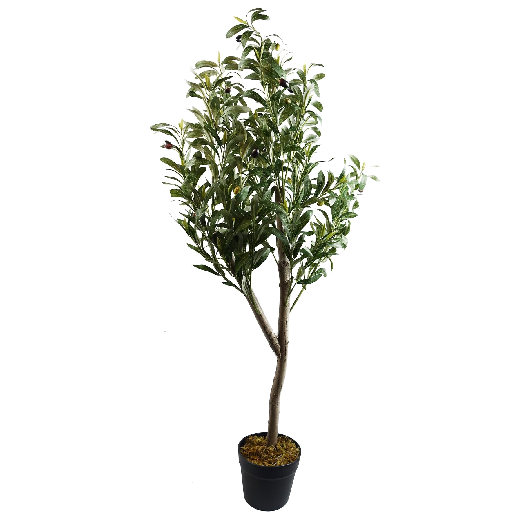 The Natural Olive