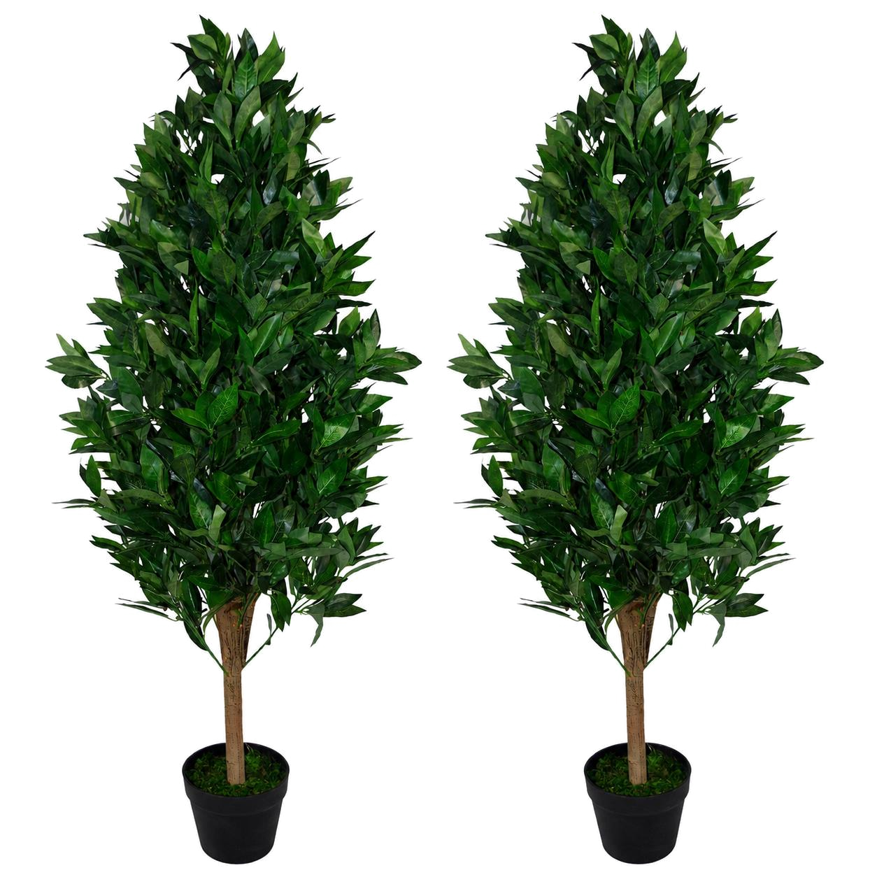 The Pyramid Bay Pair