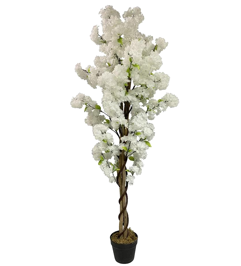 The White Blossom Tree